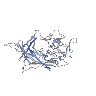 21017_6v1t_F_v1-3
Empty AAVrh.39 particle