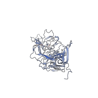 21017_6v1t_R_v1-3
Empty AAVrh.39 particle