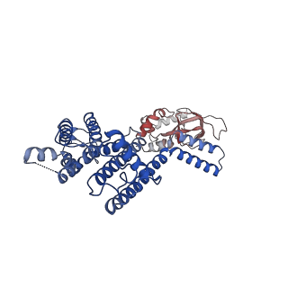 21018_6v1x_C_v1-1
Cryo-EM Structure of the Hyperpolarization-Activated Potassium Channel KAT1: Tetramer