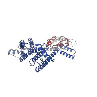 21018_6v1x_C_v1-2
Cryo-EM Structure of the Hyperpolarization-Activated Potassium Channel KAT1: Tetramer