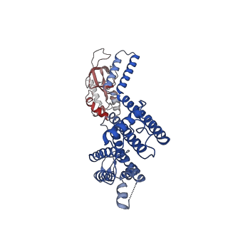 21018_6v1x_D_v1-1
Cryo-EM Structure of the Hyperpolarization-Activated Potassium Channel KAT1: Tetramer