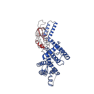 21018_6v1x_D_v1-2
Cryo-EM Structure of the Hyperpolarization-Activated Potassium Channel KAT1: Tetramer