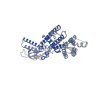 21019_6v1y_A_v1-2
Cryo-EM Structure of the Hyperpolarization-Activated Potassium Channel KAT1: Octamer