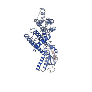 21019_6v1y_B_v1-2
Cryo-EM Structure of the Hyperpolarization-Activated Potassium Channel KAT1: Octamer