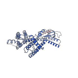 21019_6v1y_C_v1-2
Cryo-EM Structure of the Hyperpolarization-Activated Potassium Channel KAT1: Octamer