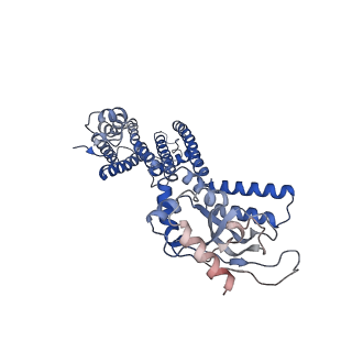 21019_6v1y_O_v1-2
Cryo-EM Structure of the Hyperpolarization-Activated Potassium Channel KAT1: Octamer