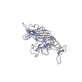 21020_6v1z_1_v1-3
genome-containing AAVrh.39 particles