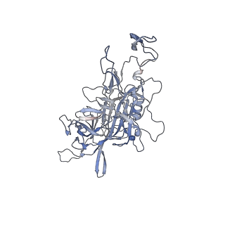 21020_6v1z_3_v1-3
genome-containing AAVrh.39 particles