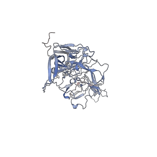 21020_6v1z_5_v1-3
genome-containing AAVrh.39 particles