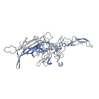 21020_6v1z_8_v1-3
genome-containing AAVrh.39 particles