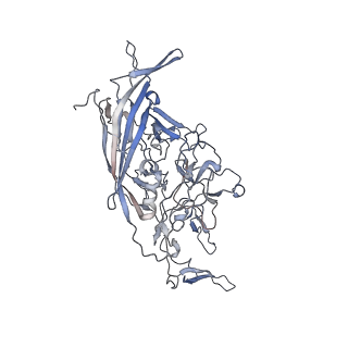 21020_6v1z_C_v1-3
genome-containing AAVrh.39 particles