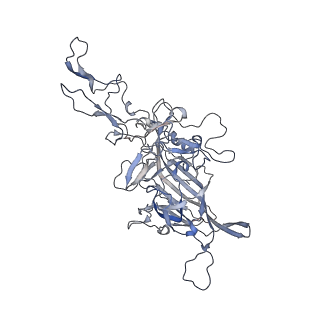 21020_6v1z_H_v1-3
genome-containing AAVrh.39 particles