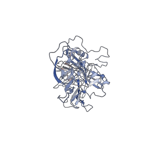 21020_6v1z_K_v1-3
genome-containing AAVrh.39 particles