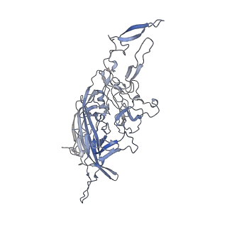 21020_6v1z_L_v1-3
genome-containing AAVrh.39 particles