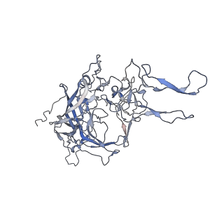 21020_6v1z_M_v1-3
genome-containing AAVrh.39 particles