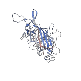 21020_6v1z_O_v1-3
genome-containing AAVrh.39 particles