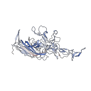 21020_6v1z_P_v1-3
genome-containing AAVrh.39 particles