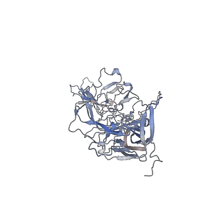 21020_6v1z_R_v1-3
genome-containing AAVrh.39 particles