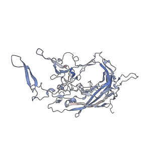 21020_6v1z_S_v1-3
genome-containing AAVrh.39 particles