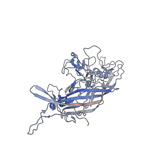 21020_6v1z_T_v1-3
genome-containing AAVrh.39 particles