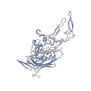 21020_6v1z_U_v1-3
genome-containing AAVrh.39 particles