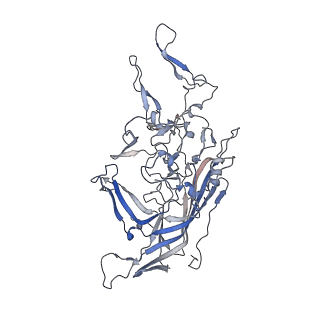 21020_6v1z_X_v1-3
genome-containing AAVrh.39 particles