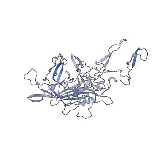 21020_6v1z_Y_v1-3
genome-containing AAVrh.39 particles