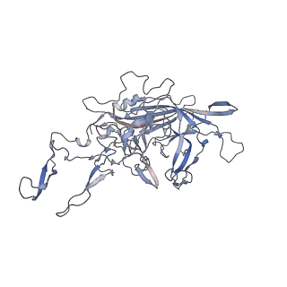 21020_6v1z_Z_v1-3
genome-containing AAVrh.39 particles