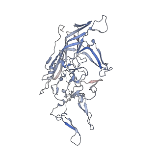 21020_6v1z_a_v1-3
genome-containing AAVrh.39 particles