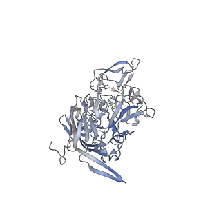 21020_6v1z_b_v1-3
genome-containing AAVrh.39 particles