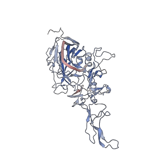 21020_6v1z_c_v1-3
genome-containing AAVrh.39 particles