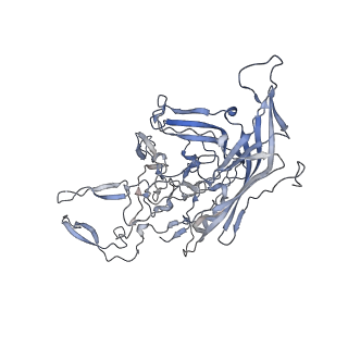 21020_6v1z_d_v1-3
genome-containing AAVrh.39 particles