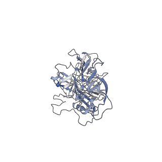 21020_6v1z_e_v1-2
genome-containing AAVrh.39 particles