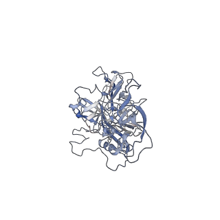 21020_6v1z_e_v1-3
genome-containing AAVrh.39 particles