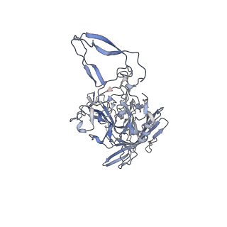 21020_6v1z_g_v1-3
genome-containing AAVrh.39 particles