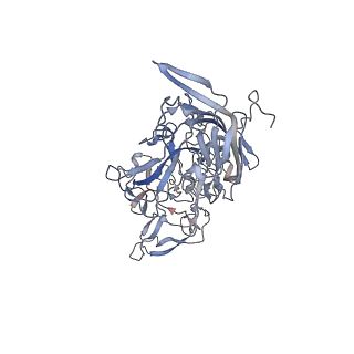 21020_6v1z_i_v1-3
genome-containing AAVrh.39 particles