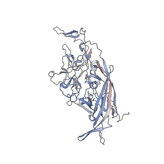 21020_6v1z_k_v1-3
genome-containing AAVrh.39 particles