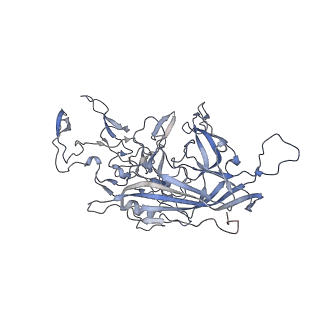 21020_6v1z_m_v1-3
genome-containing AAVrh.39 particles