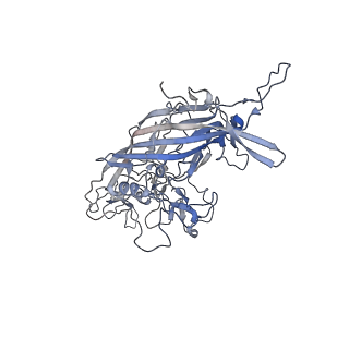 21020_6v1z_o_v1-3
genome-containing AAVrh.39 particles