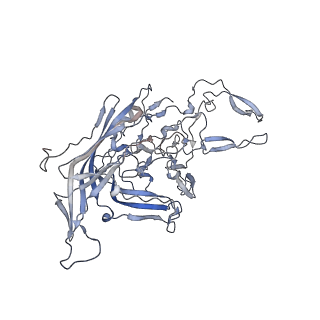 21020_6v1z_p_v1-3
genome-containing AAVrh.39 particles