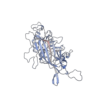 21020_6v1z_q_v1-3
genome-containing AAVrh.39 particles