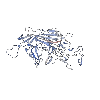 21020_6v1z_r_v1-3
genome-containing AAVrh.39 particles