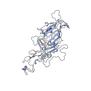 21020_6v1z_s_v1-3
genome-containing AAVrh.39 particles