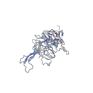 21020_6v1z_t_v1-3
genome-containing AAVrh.39 particles