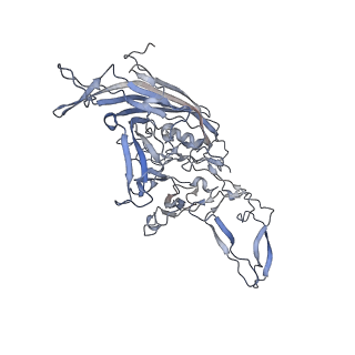 21020_6v1z_v_v1-3
genome-containing AAVrh.39 particles