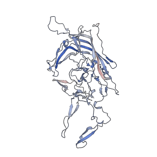 21020_6v1z_x_v1-3
genome-containing AAVrh.39 particles