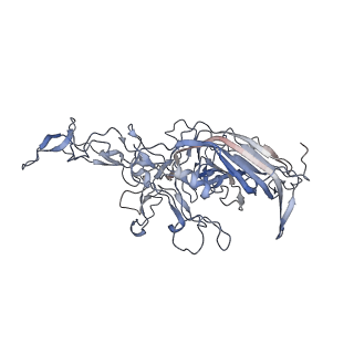 21020_6v1z_y_v1-3
genome-containing AAVrh.39 particles