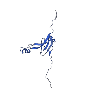 2787_4v19_0_v1-2
Structure of the large subunit of the mammalian mitoribosome, part 1 of 2