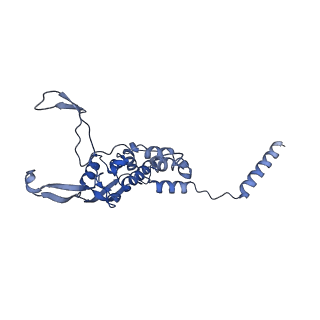 2787_4v19_1_v1-2
Structure of the large subunit of the mammalian mitoribosome, part 1 of 2