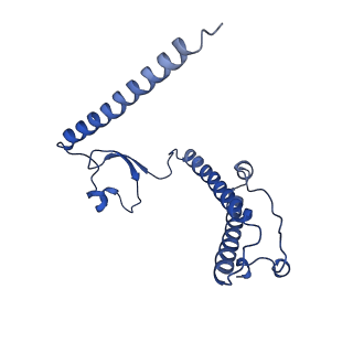 2787_4v19_2_v1-2
Structure of the large subunit of the mammalian mitoribosome, part 1 of 2